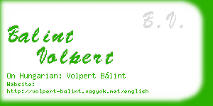 balint volpert business card